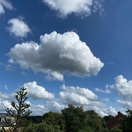 Natuurleev *
